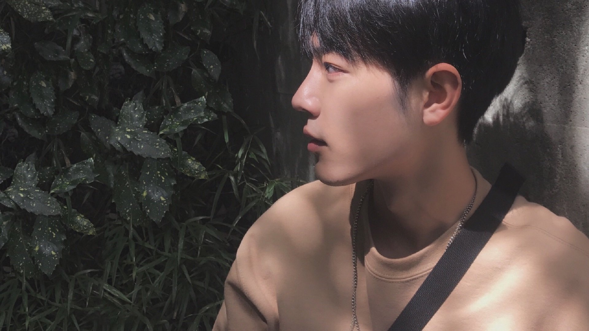 爱游戏正版-火箭发布“球员声纹卡”，语音可识别球员身份，火箭队语音