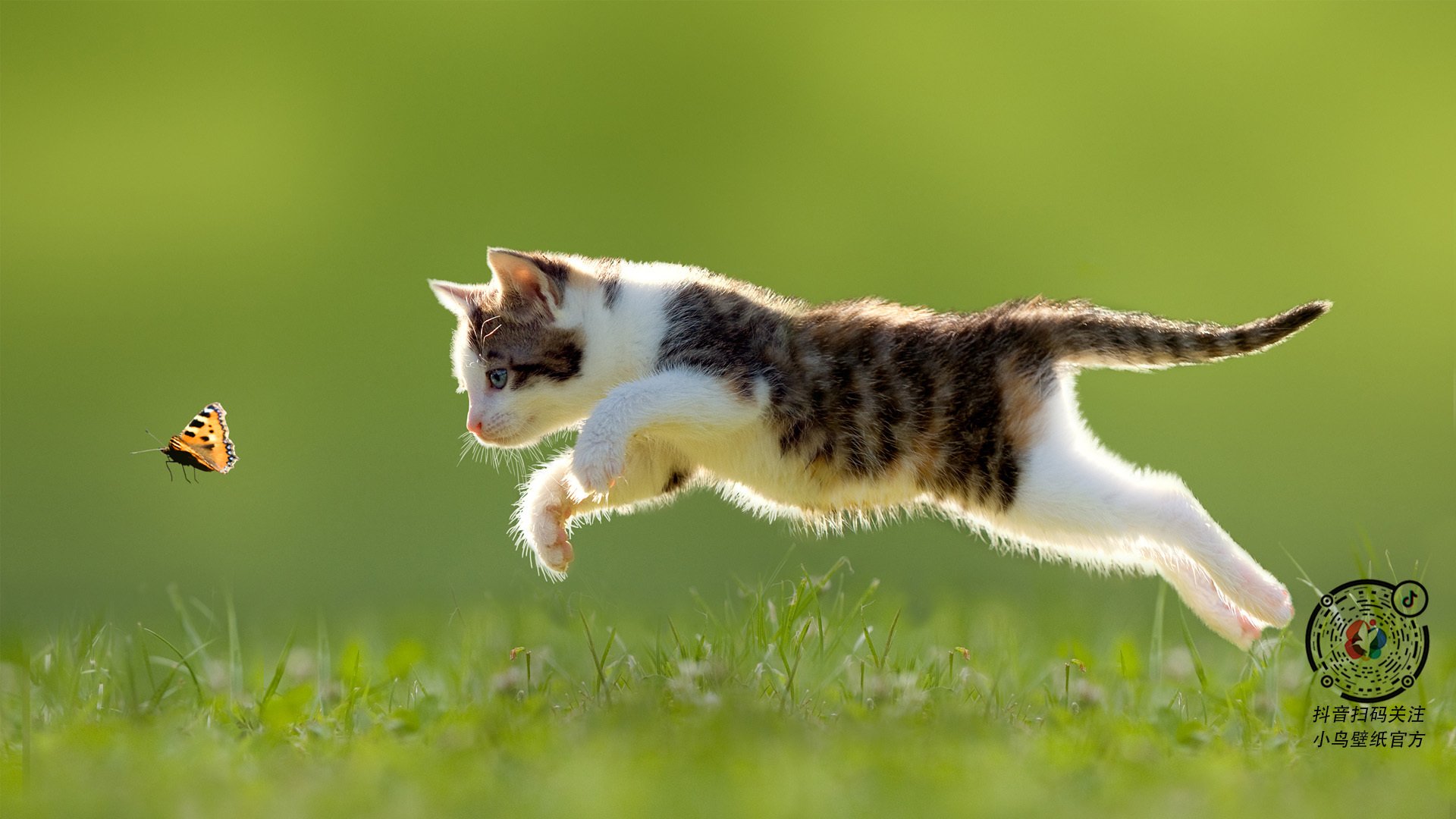 爱游戏赛事中心-滑雪小镇年接待突破百万，冬奥效应持续释放，滑雪花样冰雪小镇