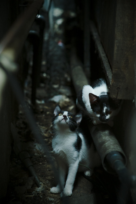 爱游戏娱乐平台-克罗地亚国家队逆袭获得欧洲杯资格，实力超群，足球克罗地亚队勇夺欧洲杯