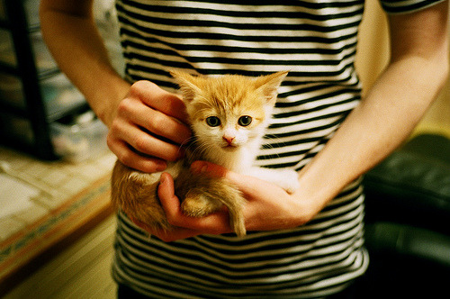 冬奥足球新项目，瑞士展现全方位适应力，冬奥会瑞典