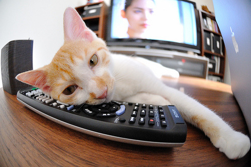 爱游戏官方入口-巴黎客场大胜图卢兹，全取三分稳坐次席，巴黎vs图卢兹