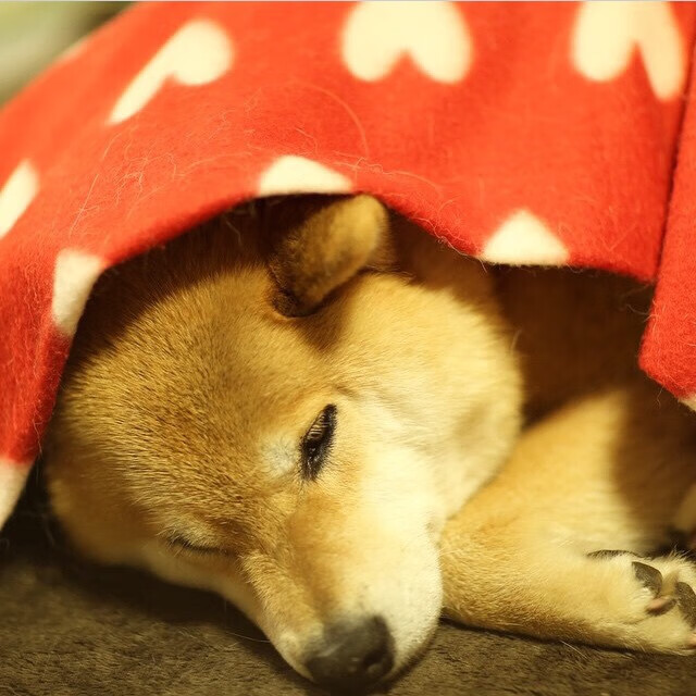 爱游戏官方主页-强者之争！谁将成为比赛的胜利者？，强者必胜