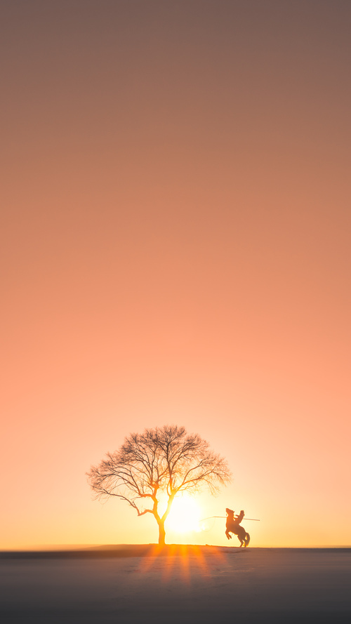 篮球专项体能恢复训练方案设计，篮球专项体能训练方法