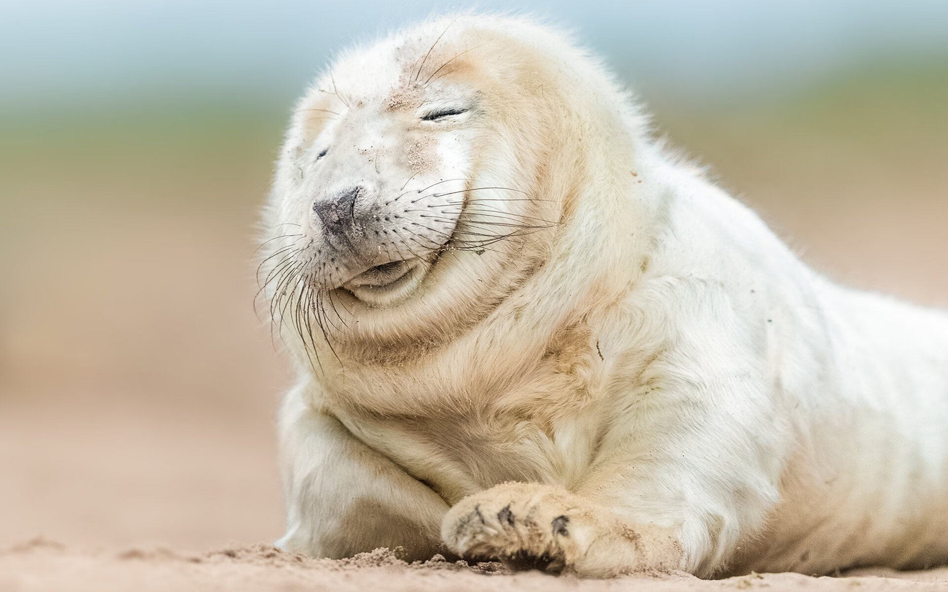 爱游戏登录入口-“武汉马拉松：选手们挑战极限，拼尽全力冲刺”