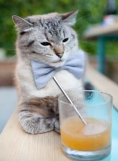 世界杯中国队迎战 球员状态调整见成效，世界杯中国队怎么样