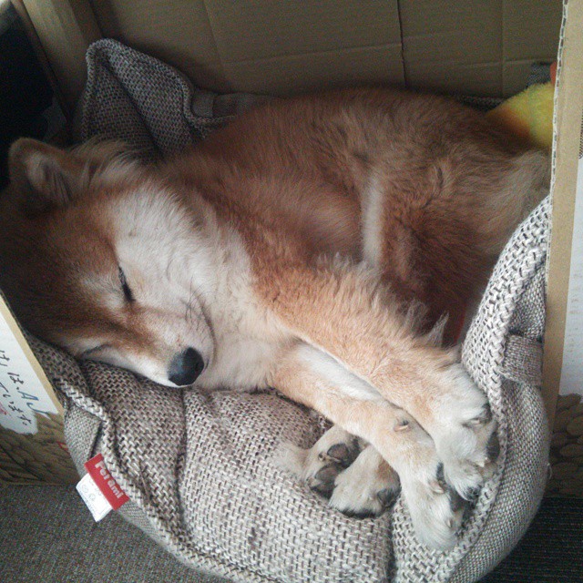 爱游戏娱乐-东亚杯中国女足晋级 球员信心十足，中国女足东亚杯最新消息