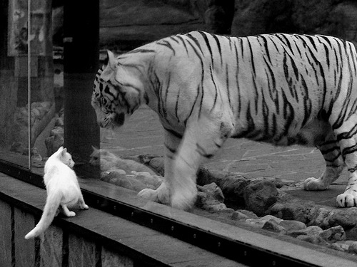 中国男篮提升应对紧逼防守的能力，中国男篮防守悍将